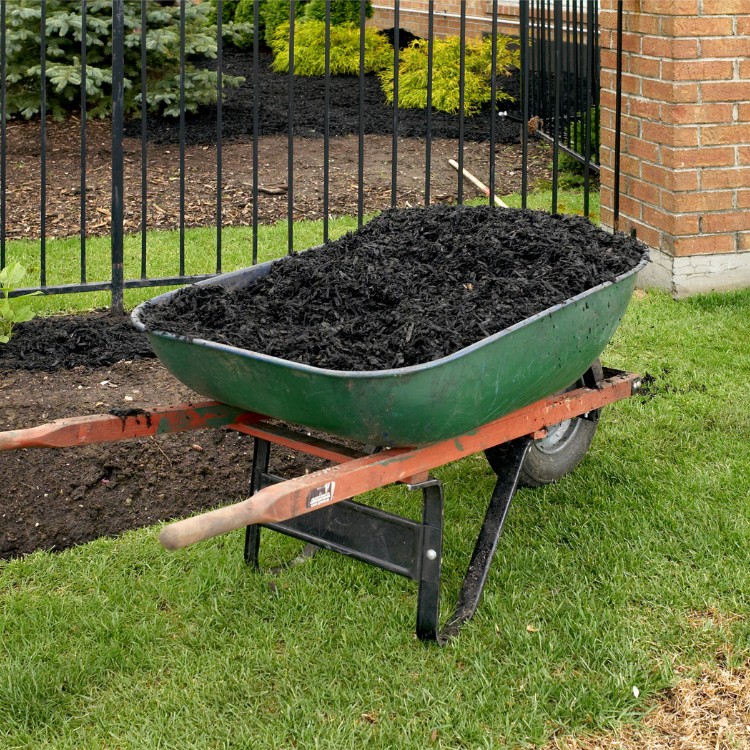 Landscaping Services in Pittsburgh, PA