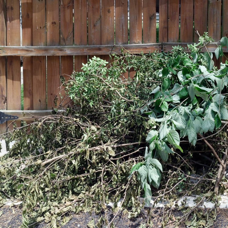 Landscaping Services in Pittsburgh, PA